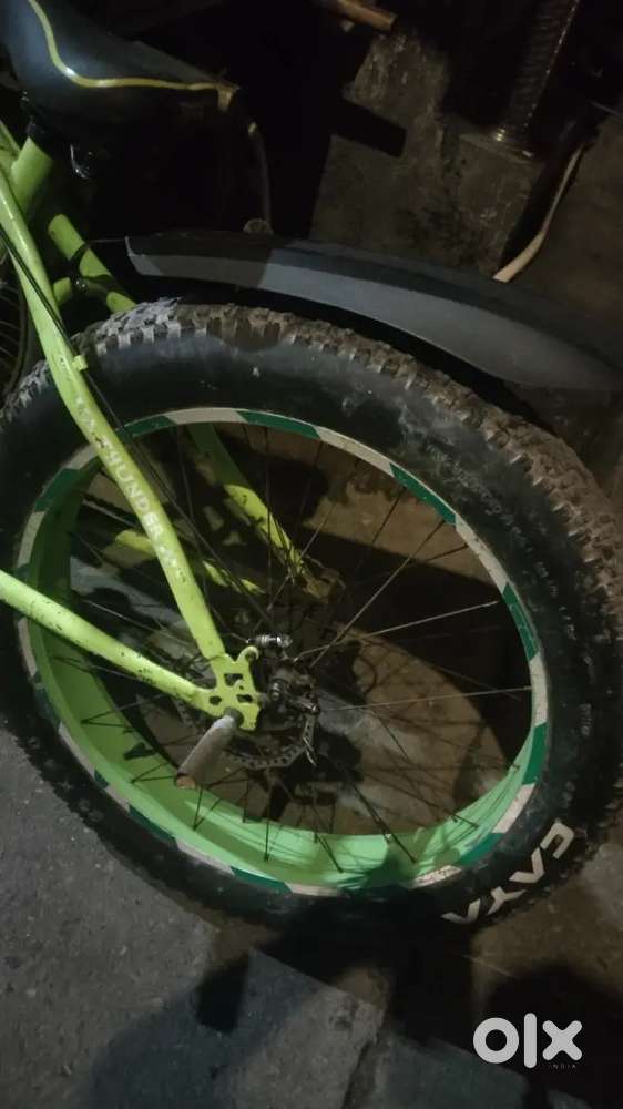 cycle 2 Year Old