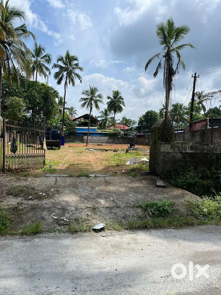 25-Cent Commercial Plot for Rent – Ideal for Warehouse or Storage