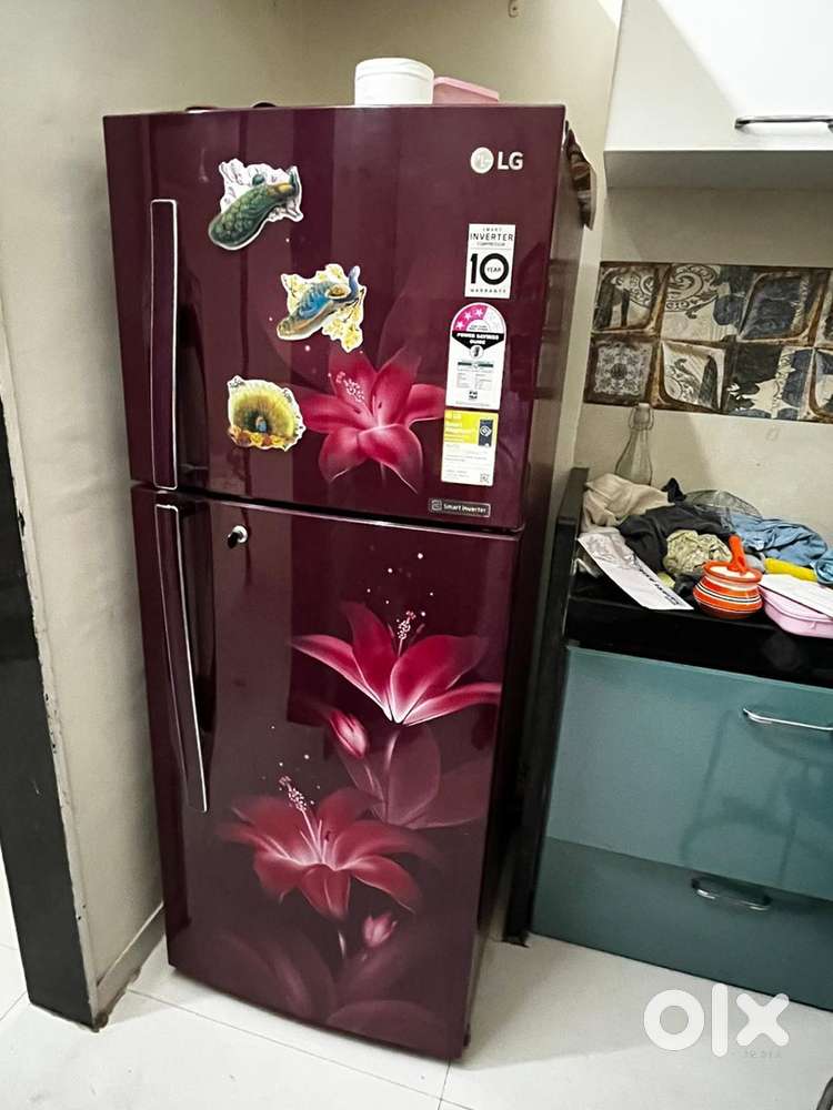 Fridge (260L LG)