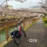 Trek Powerfly 4 Gen 4 E-Bike