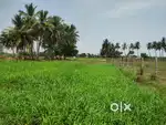 Farm Land விற்பனைக்கு