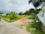 15 Cent land at Chottanikkara , Thripunithura