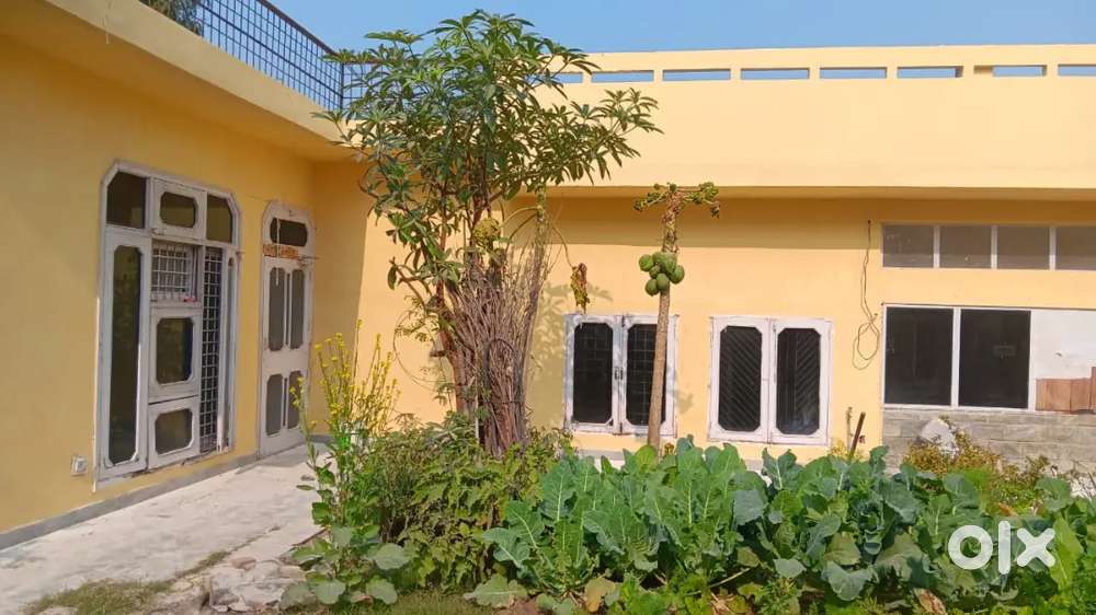 220 Gajj independent house for rent