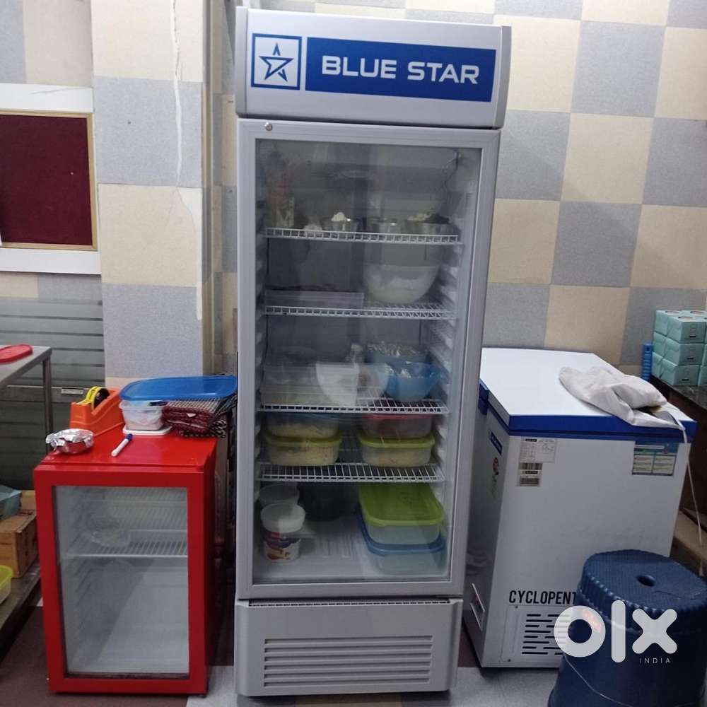 Blue star fridge