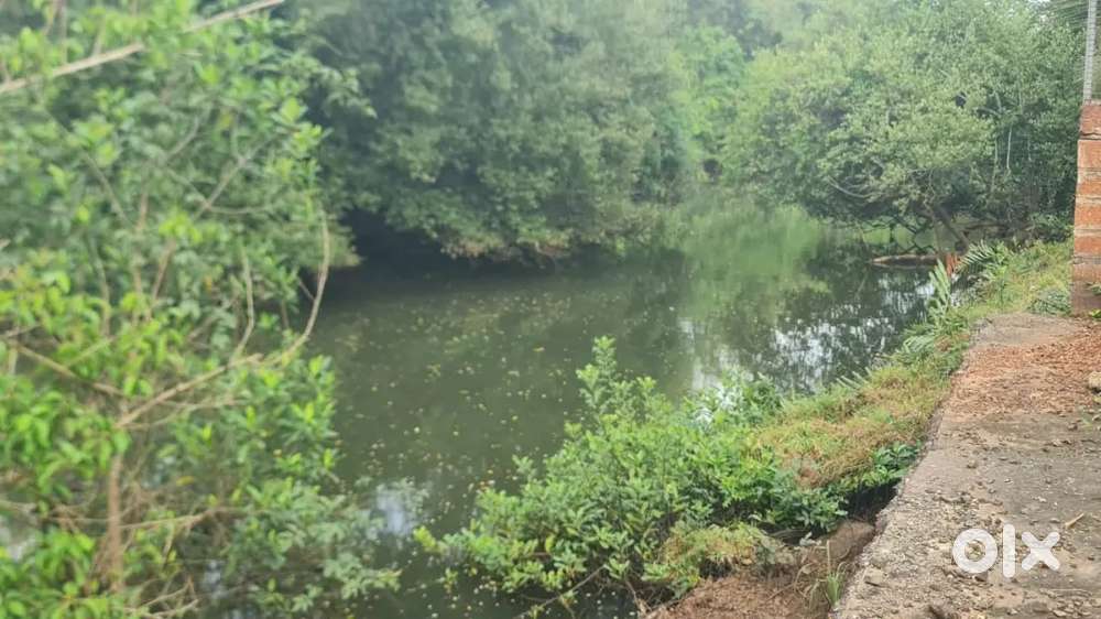 732SQMT TUEM ORCHARD  RIVER TOUCH PLOT FOR SALE