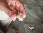 Original yamani haqeeq eye stone  with silver Ring
