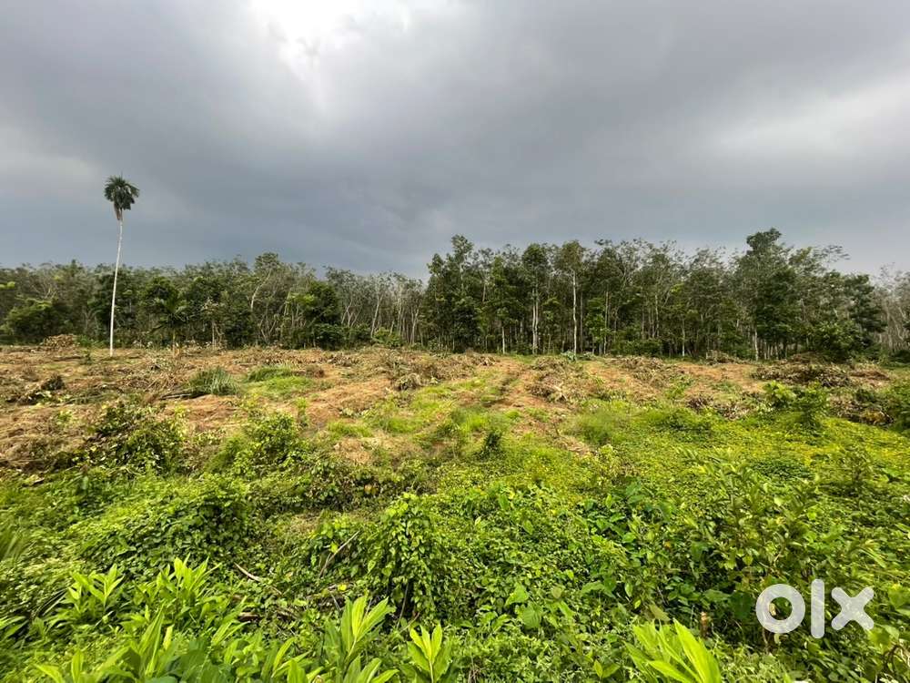 1.40 acres of land 2 from adoor-kottarakkara highway at Puthurmukk