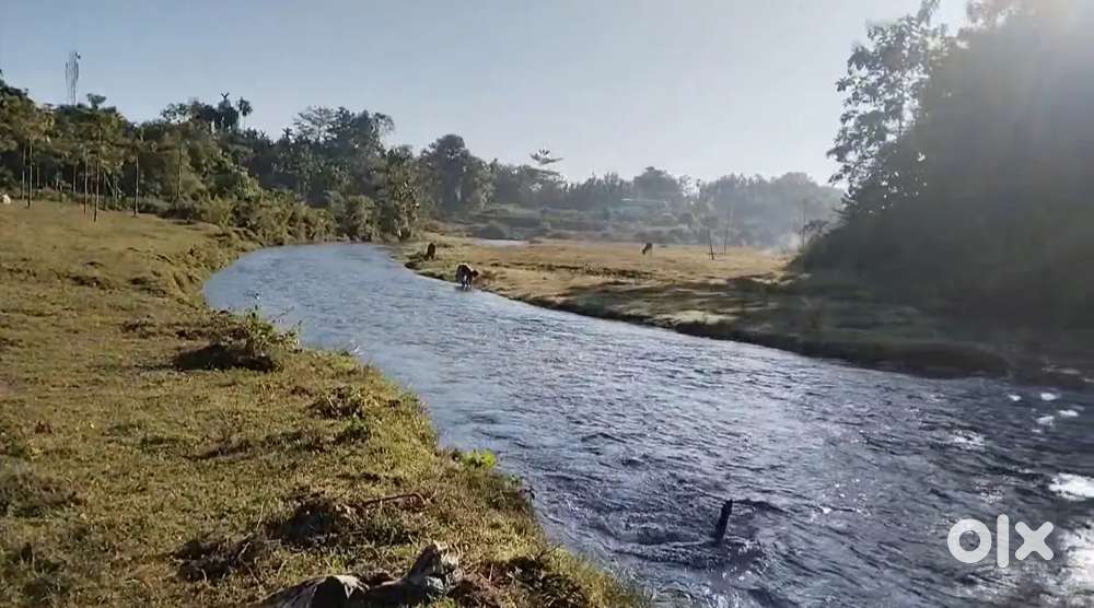 Lodge, personal Home, Farm house,
