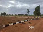 Residential Farm 150 Sqy Plot @ Nedunur near Kandukur Srisailam Highwy