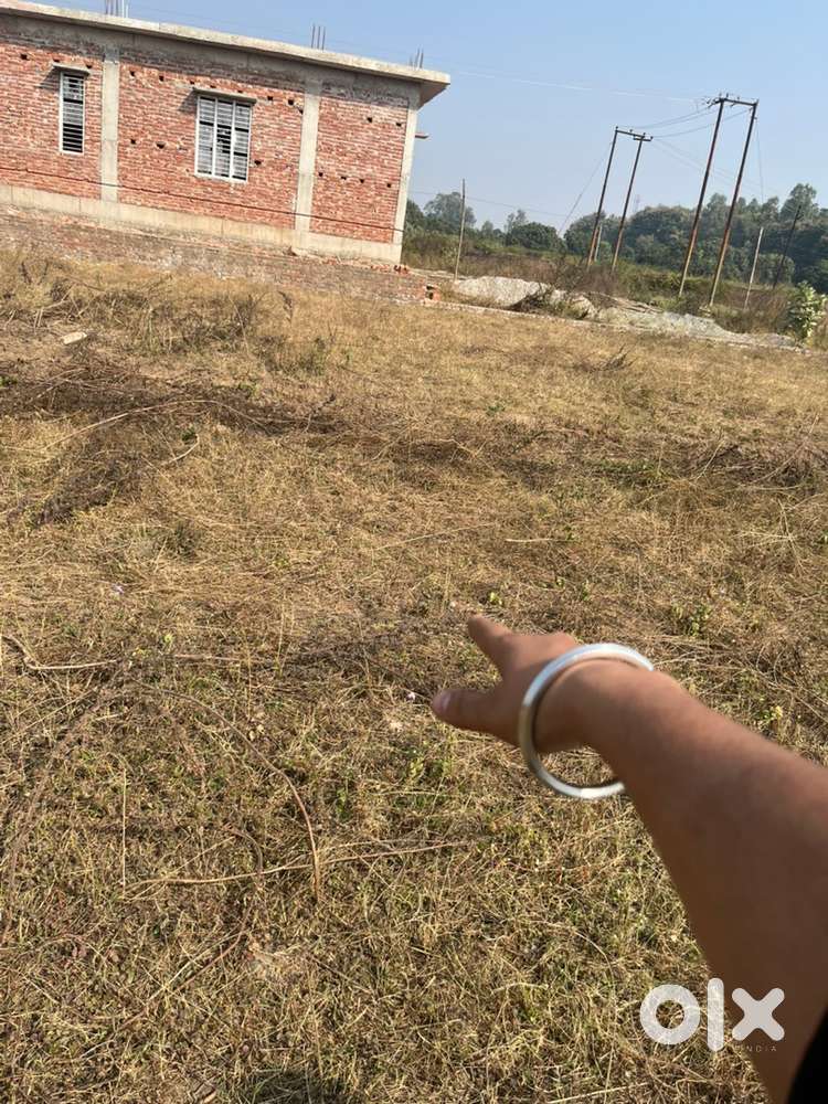 Plot in girja vihaar ( kamaluagaja )