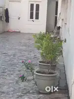 Room for rent in Adipur