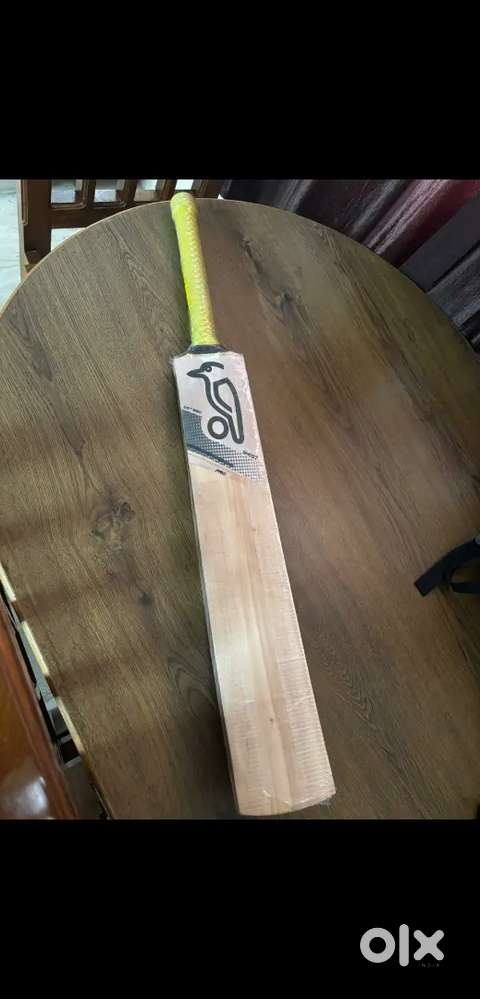 Kookaburra kashmir willow Ghost Pro cricket bat