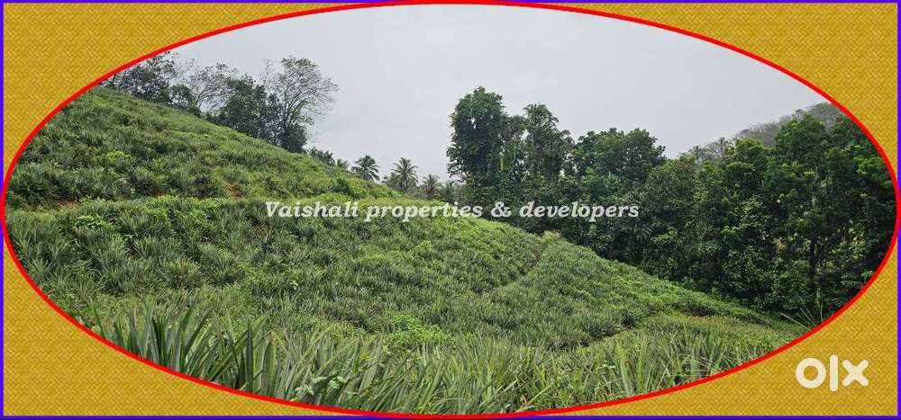 3 Acres Land for sale in near KURACHUND @ 30 Lacs/Acre