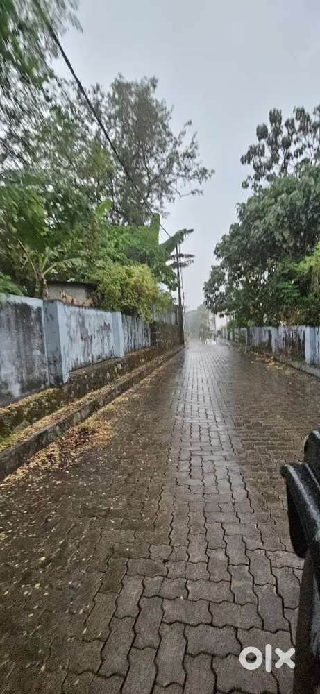 3.68 Cent Plot for your Dream Home