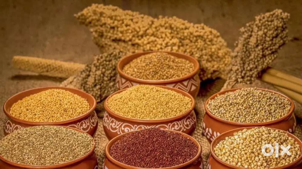 Marketting executive