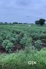 Good land agriculture