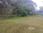 3 cent land for sale in panchayath