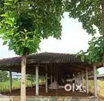 Poultry farm rental services near Narasaraopet, chilakaluripet, guntur