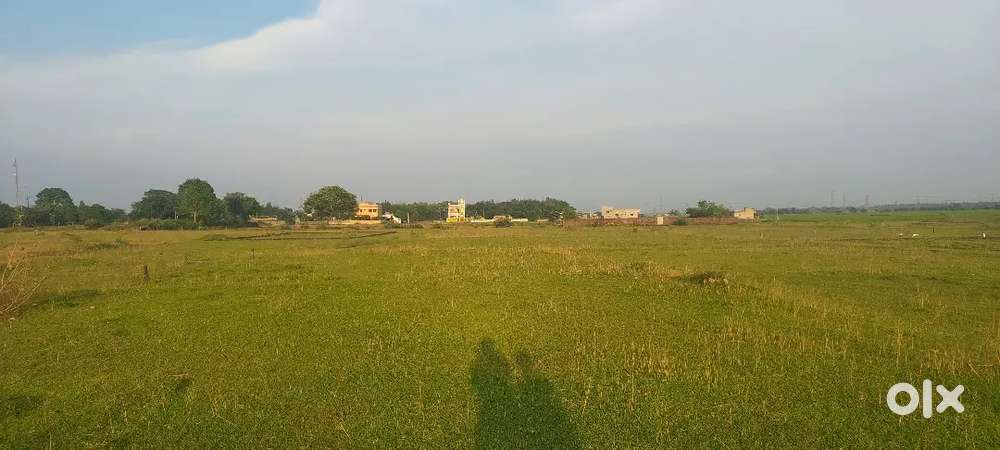 5,00,000 Par Katha 3 Katha Plot Available Srishti Nagar Hari Bazar