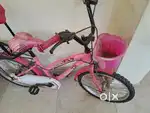 Brand New Cycle