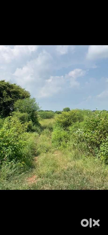 3595sq foot ( Jabalpur baroda to panagar main raod)