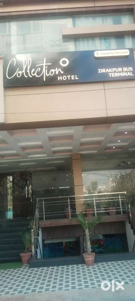 Receptionist required only