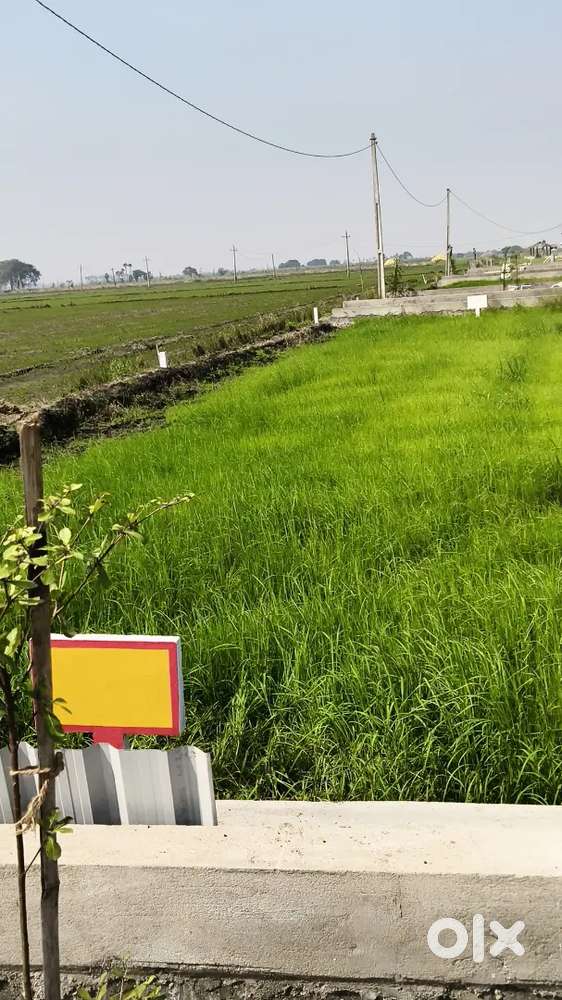 Invest your money CRDA layout at kankipadu tollagate