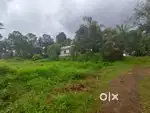 കൂരാലി 18 cent plot.1.20 .lakh. NH . near.
