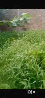 Manohar nagar 60 gaj khali plot h