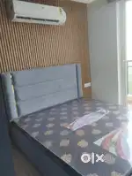 Independent studio Soho apartment available for rent in zirakpur