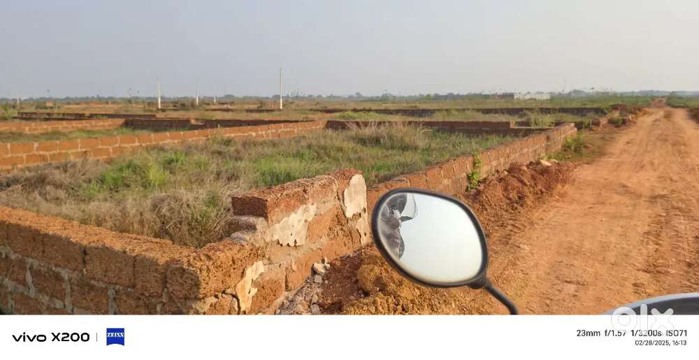 Allms hospital back side