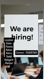 PhonePe Qr + Sound Box