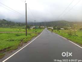 N A FARM HOUSE PLOTS IN TRAMBKESHVER PAHINE