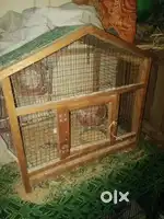 Birds House cage