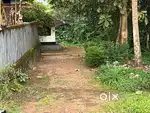 Thaneerpanthal karakurssi