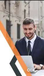Collection Executive