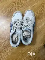 Asics and tommy shoes