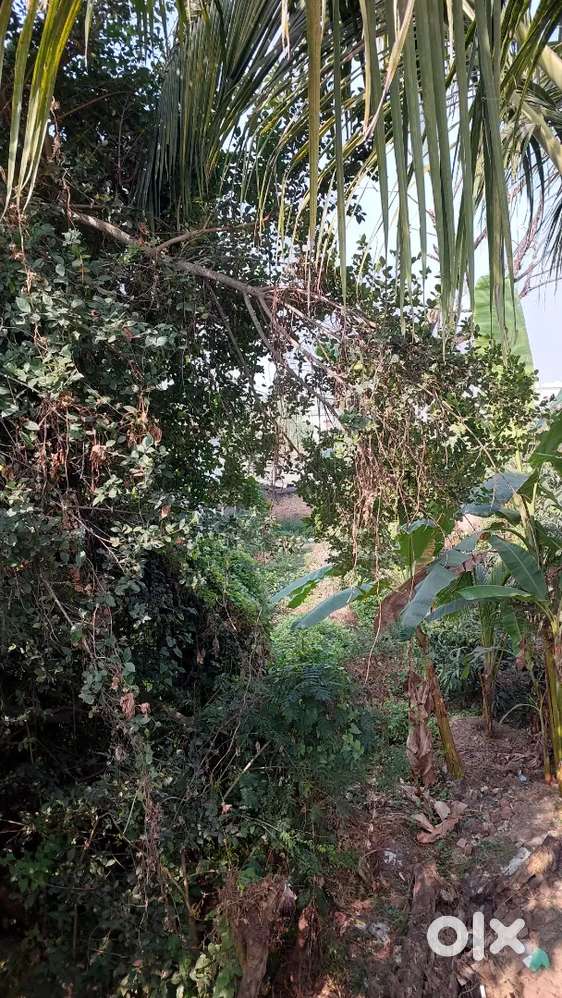 3 general gharbari plots for sale in Sankarma