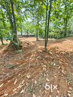 Commercial plot for sale on Pattambi Ottapalam NH
