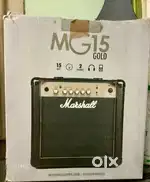 Marshal MG 15 Gold (2 channels)