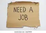 I need jobs in kasaragod for 4 months