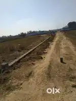 100%cnt free plot