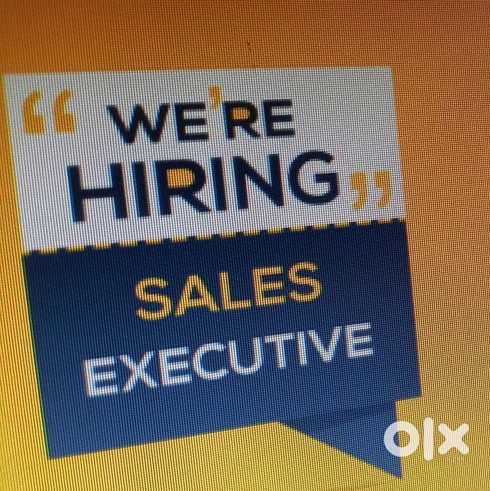 Sales executives