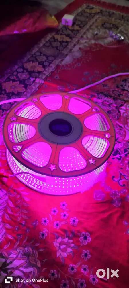 Light 50 meter