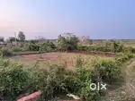 Open plot space for rent near DN regalia mall