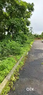 1500sq and 5000sq plot verna