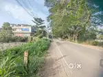 Commercial land 41 cents highway side Kidangoor 11 lakh/cent
