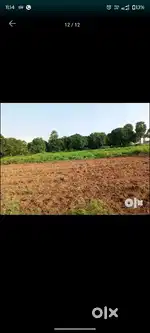 Best place for a gardening House with 10 feet road total area 12cent
