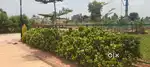 Whitefield