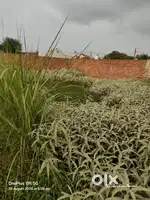 I want sale my plot near saint marry school Najibabad